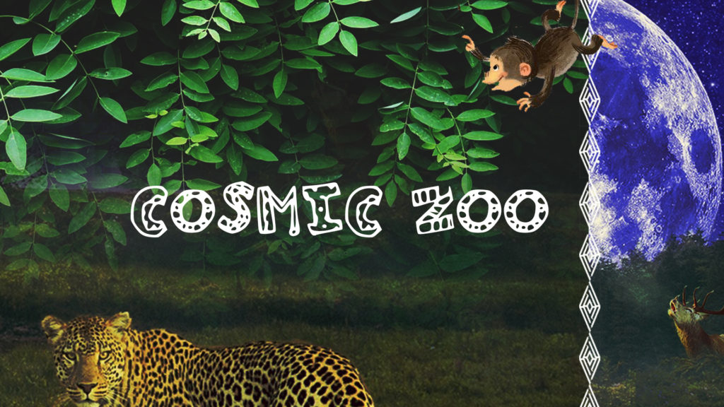cosmic zoo montreal zoozoo creations